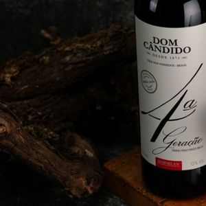 20 anos da Marselan em solo brasileiro